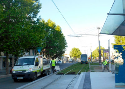 Technivert réalise l’arrosage automatique du Tramway de Bordeaux (33)