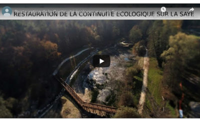 Continuité écologique du cours d’eau La Saye – Inauguration