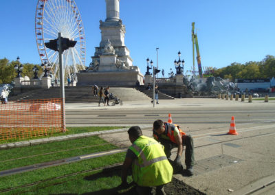 Technivert intervient place des Quinconces à Bordeaux (33)